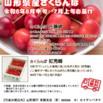 ［終了しました］2024年産さくらんぼ先行予約受付中