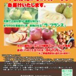 2024年度産のラ・フランスとふじりんごのご注文を承ります(10月31日締切)