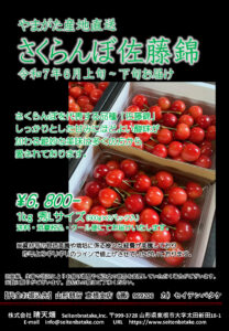 2025年産さくらんぼ先行予約受付中